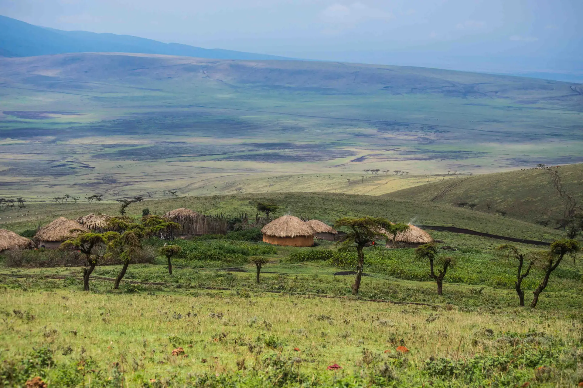 4-Day Great Migration Luxury Safari – Calving Season