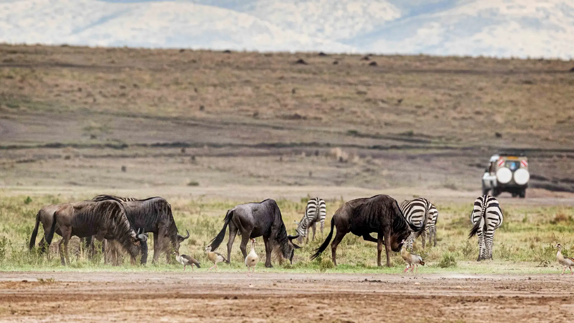 Ngorongoro Crater landscape; property photographs on request