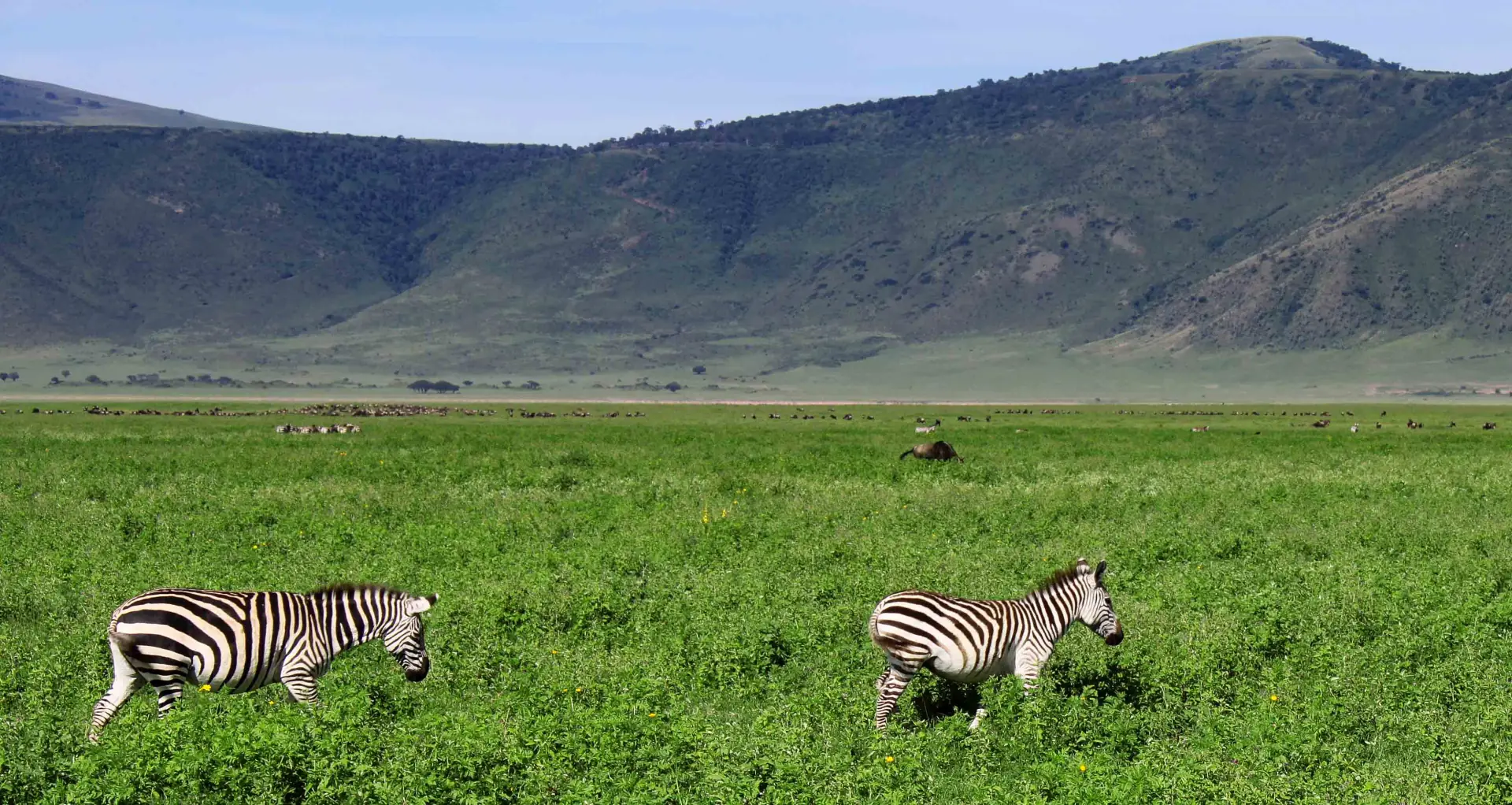 6-Day Great Migration Luxury Safari – Calving Season