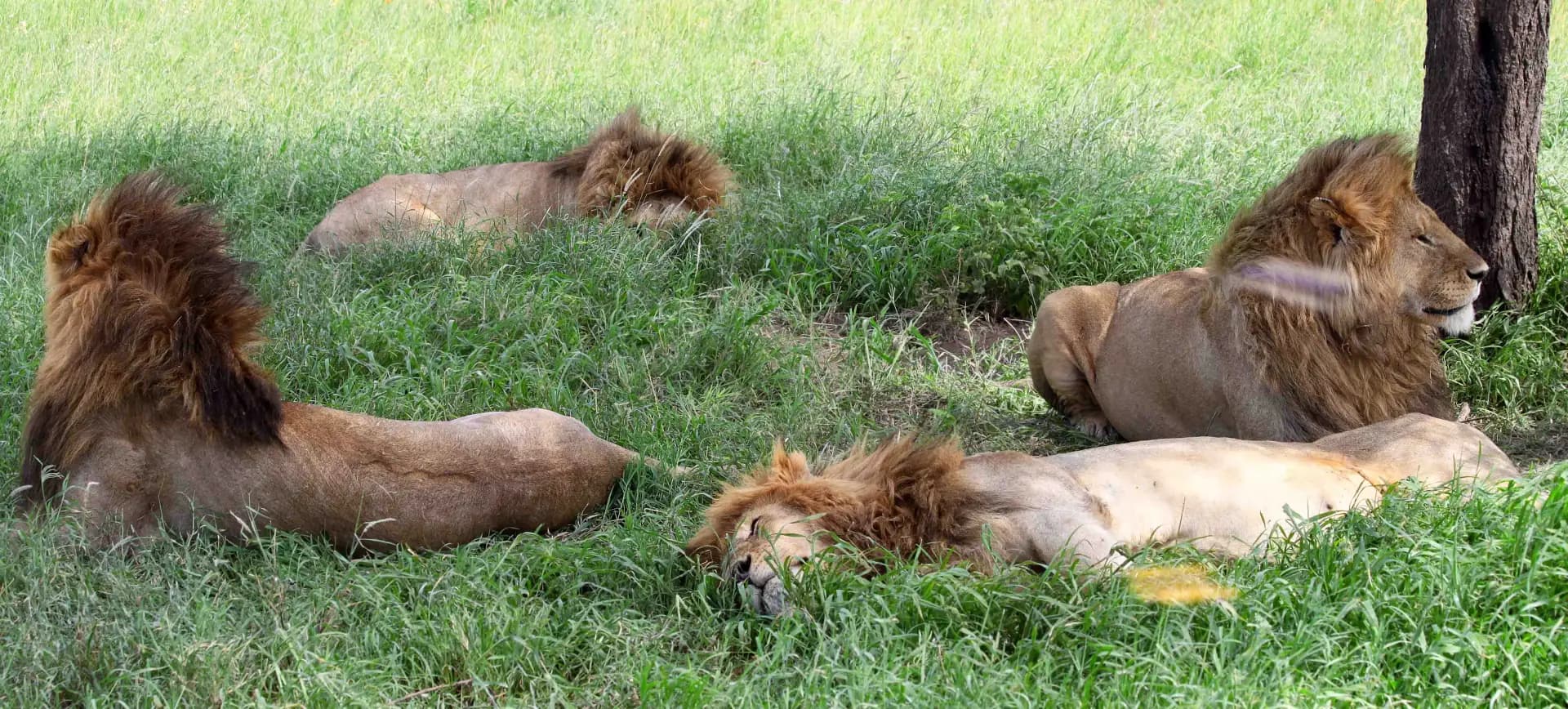 Tanzania scenery for private tanzania safaris