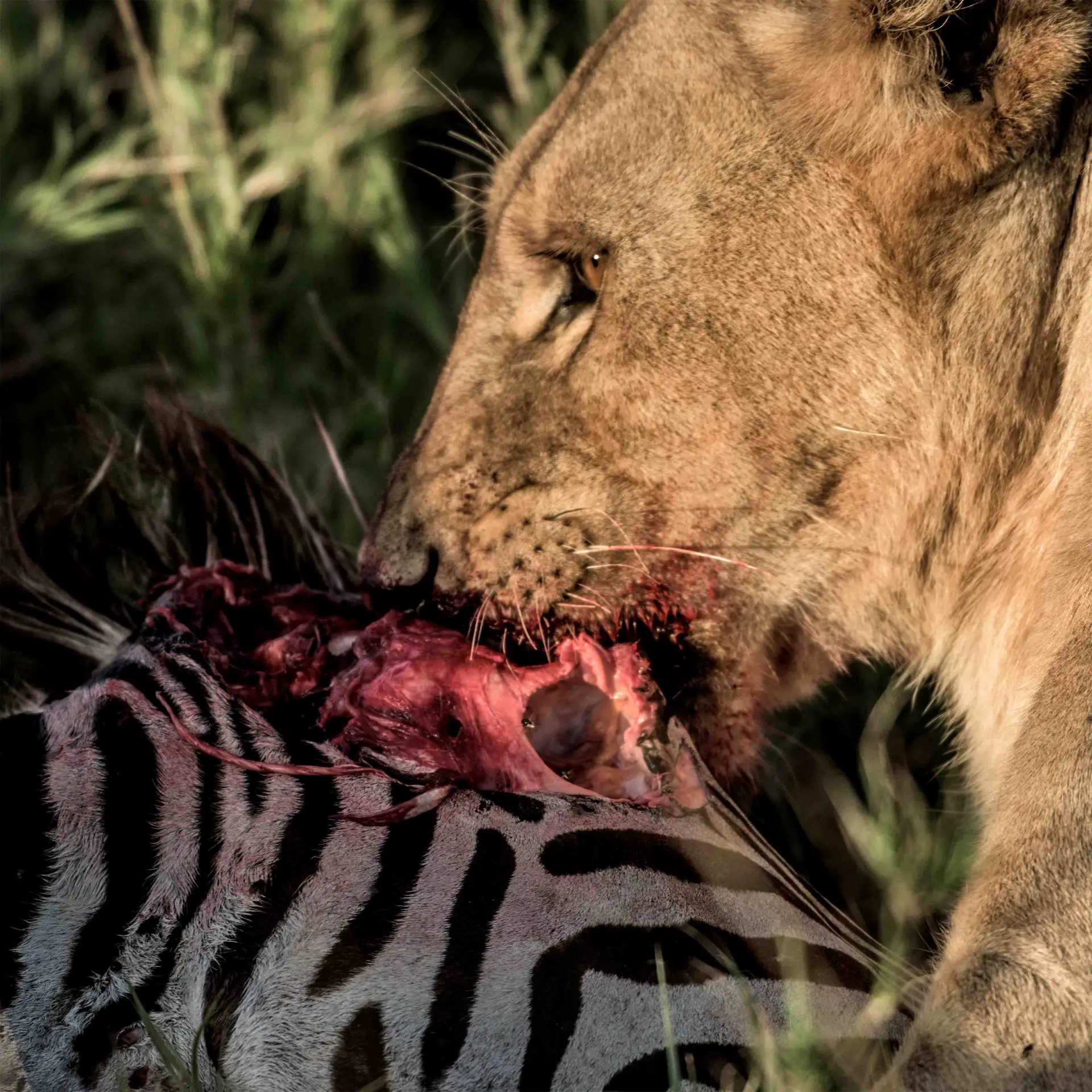 Serengeti National Park
