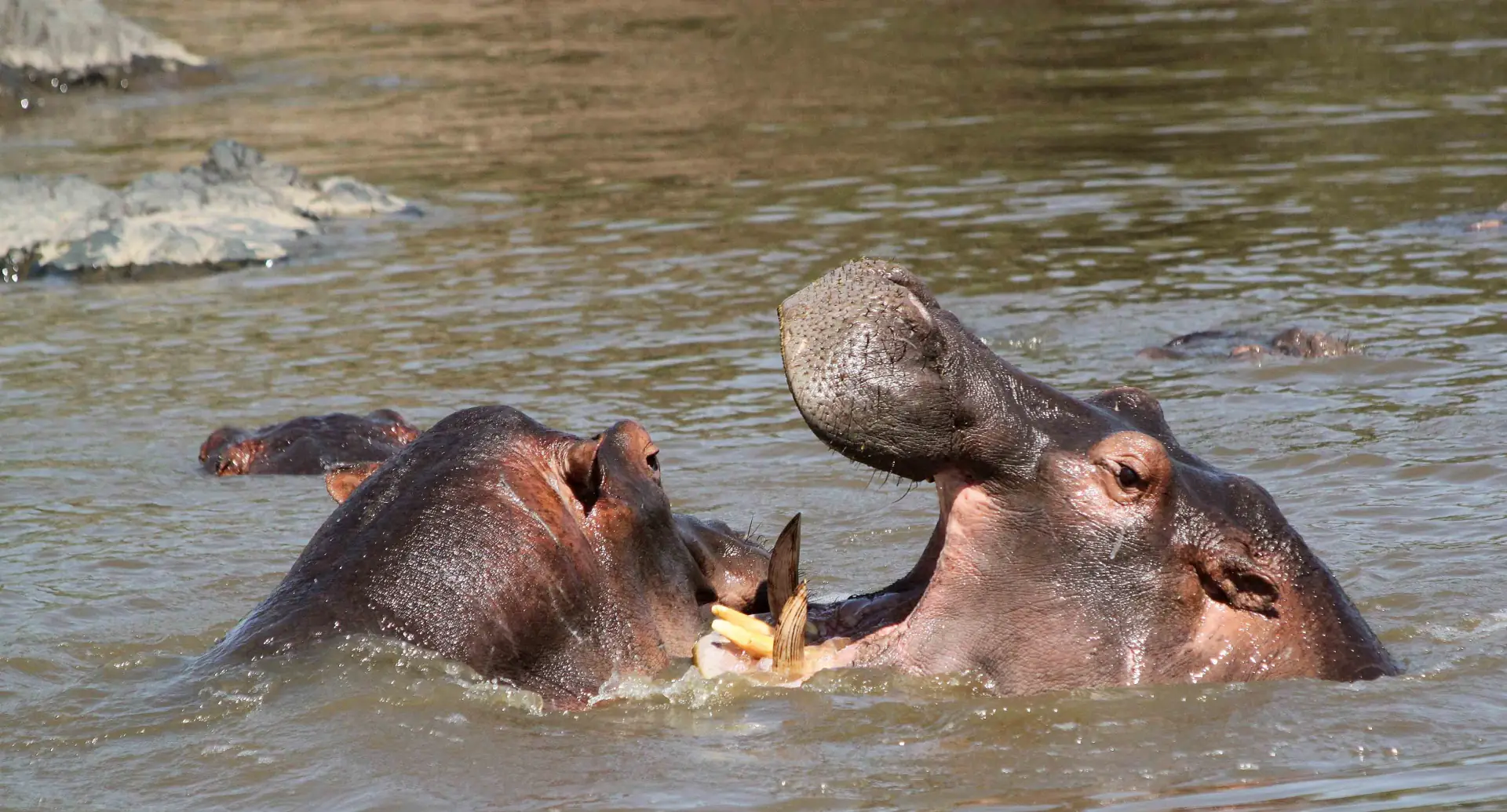 Serengeti National Park