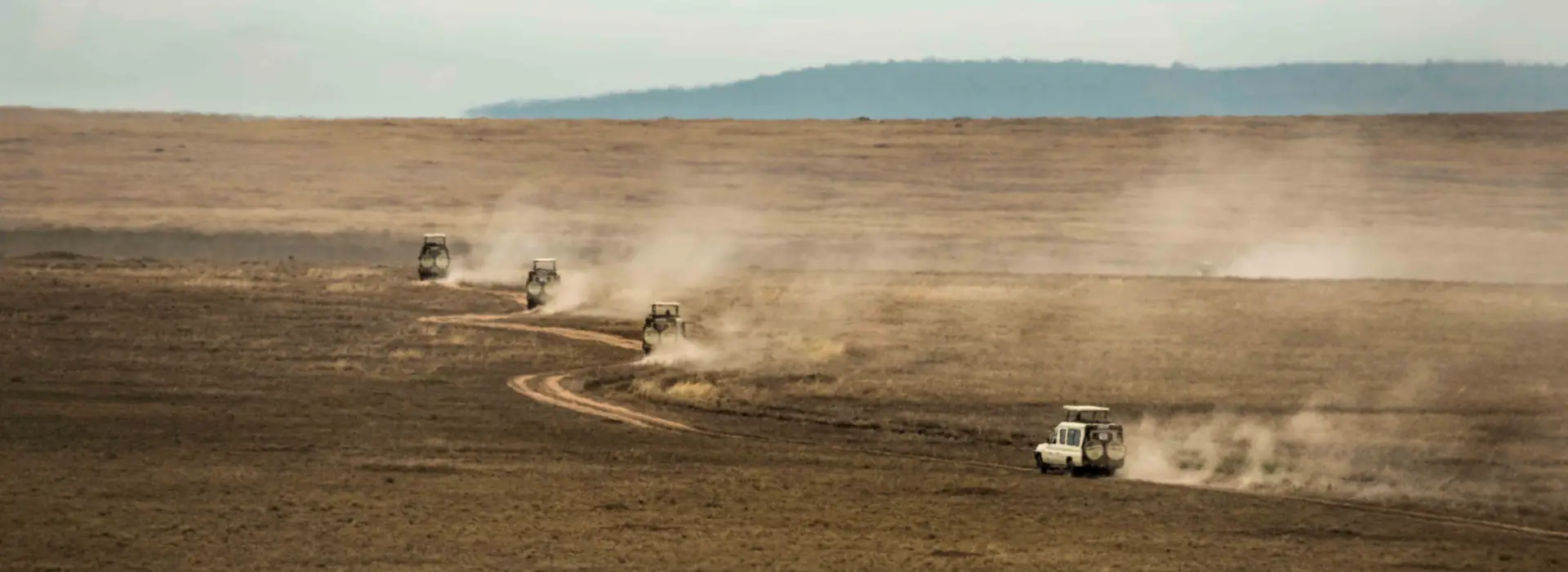 Kenya & Tanzania Safaris