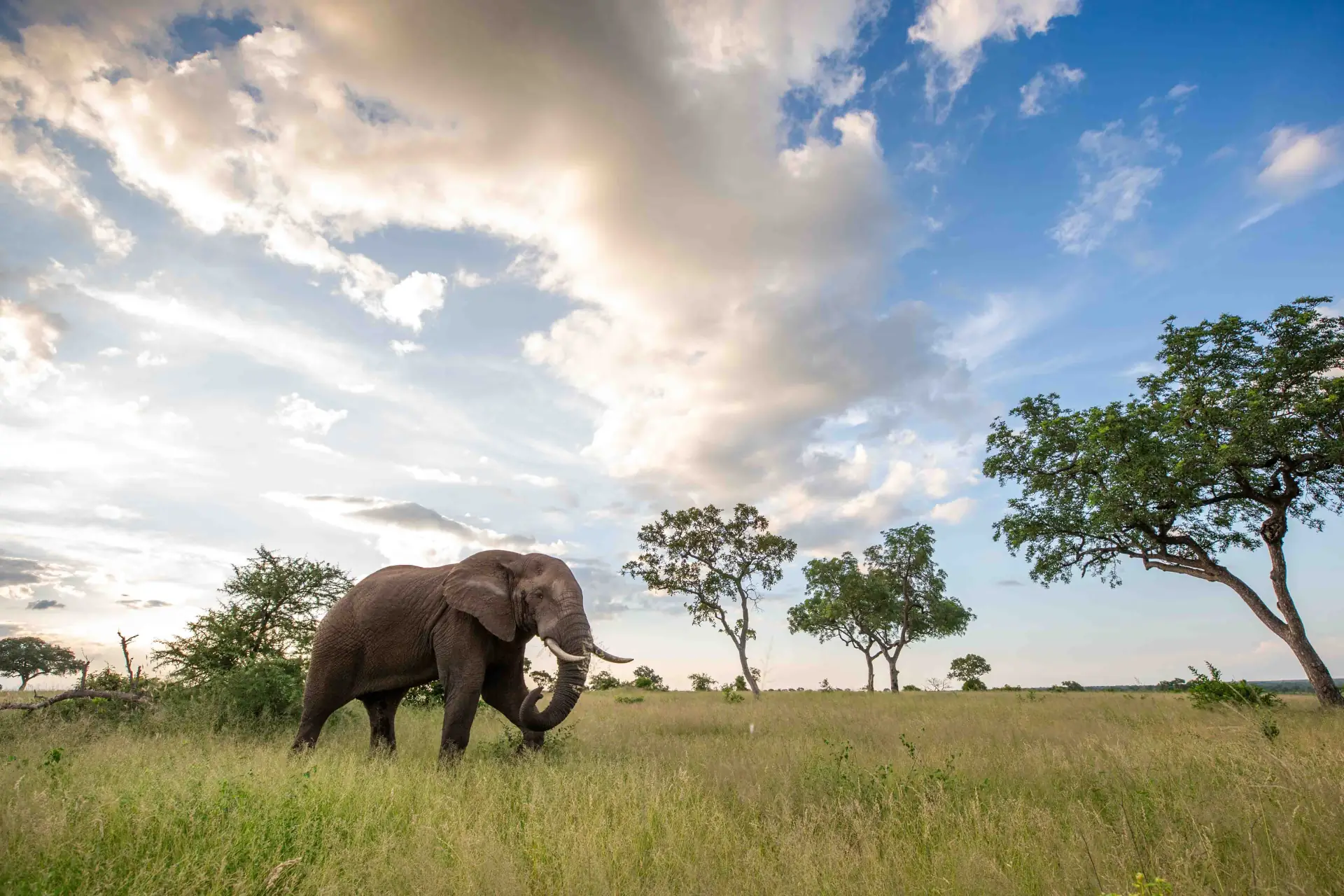 Tarangire National Park