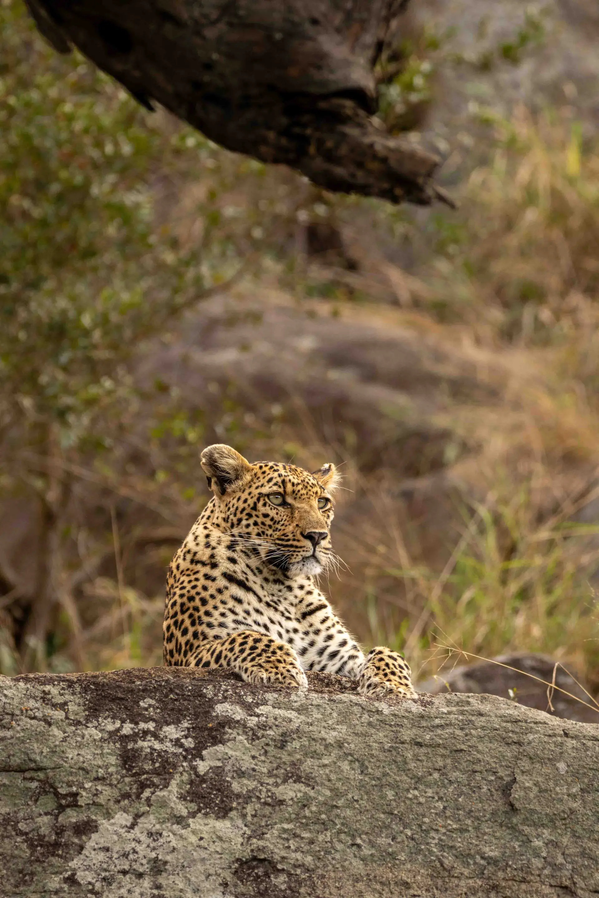 Tarangire National Park